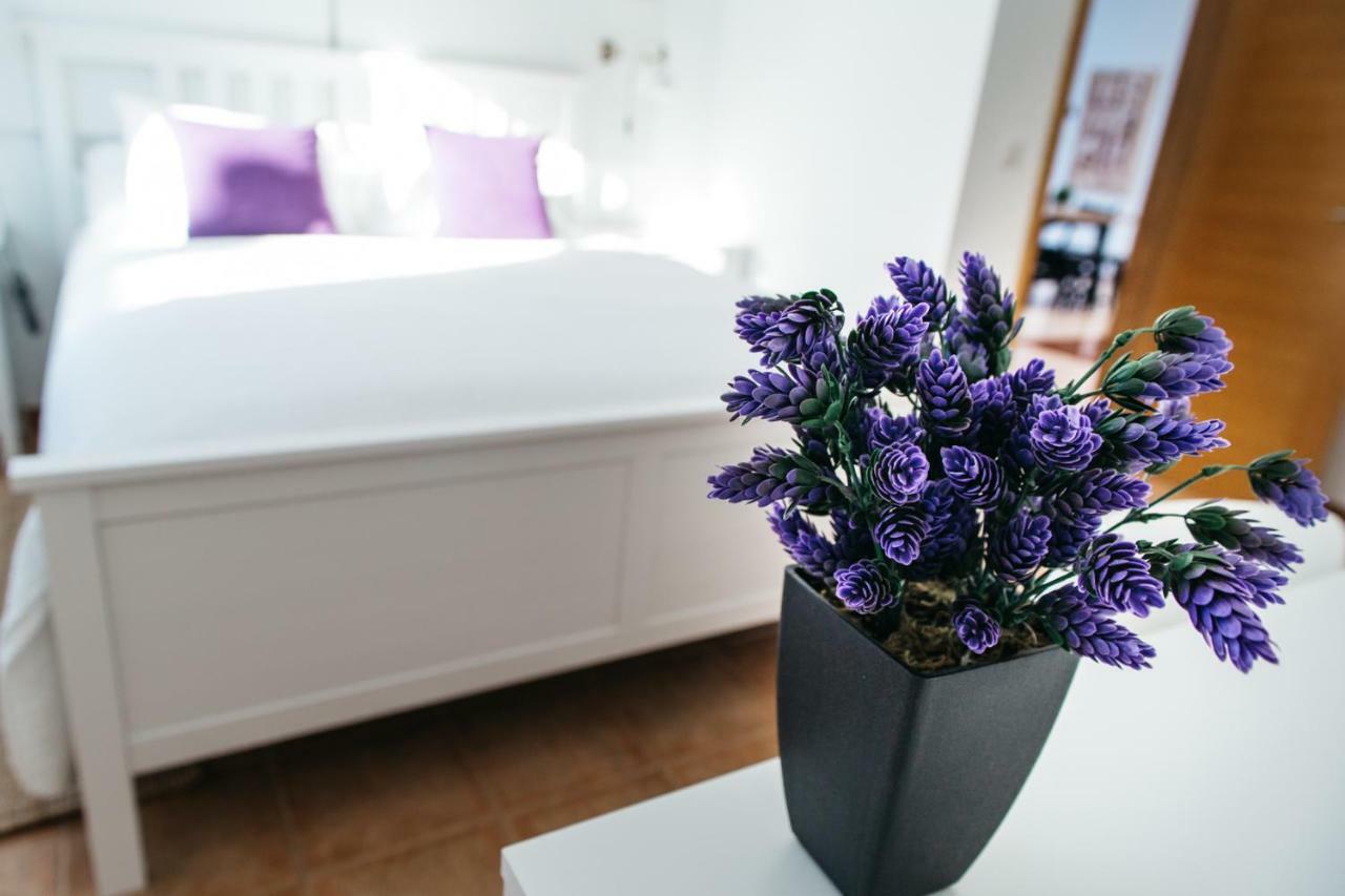 Eco Villa White Suite With Climatized Pool กาเลตาเดฟุสเต ภายนอก รูปภาพ